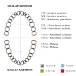 Curetas Gracey Coricama - Imagen 5